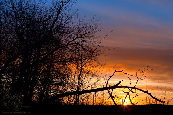 Sunset, May 03, 2011 [1 of 2]