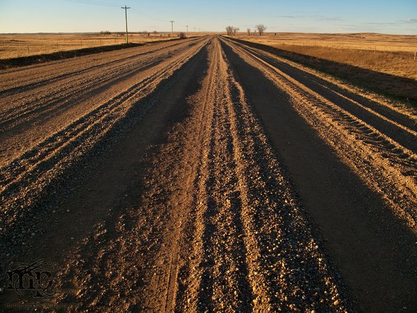 Tut-tutting over the ruts.