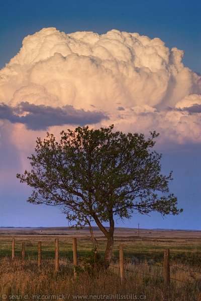 Cumulous crown