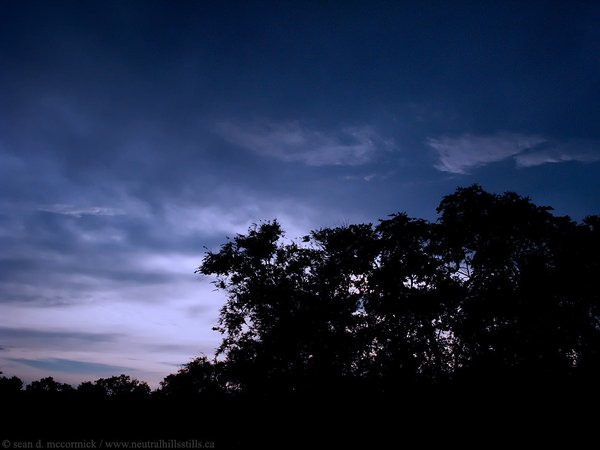 Sunset silhouette