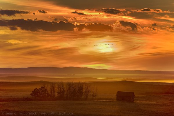 Harvest sunset, Sep 01, 2007