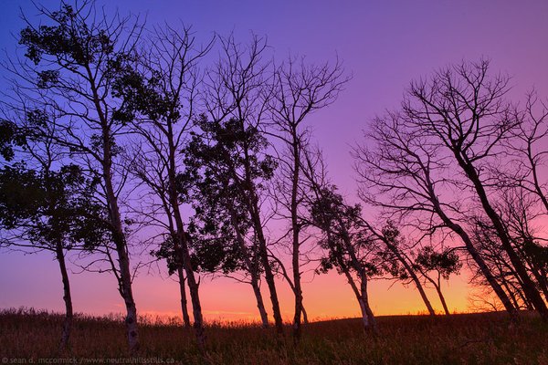 Sunset, July 08, 2008