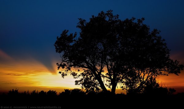 Sunset, Aug 18, 2008