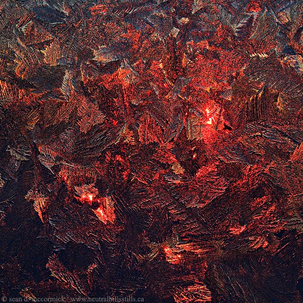 Cold snap: Sunset thru frosted window, Jan 03, 2009