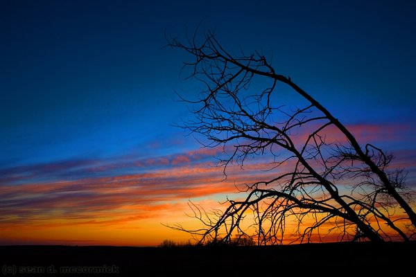 Sunset, Apr 09, 2009