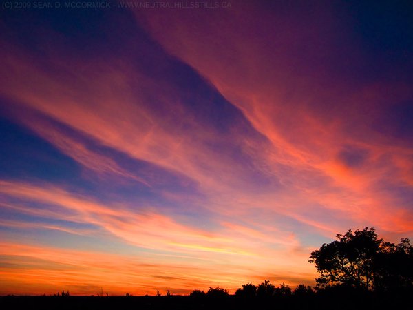 Sunset, Aug 20, 2009