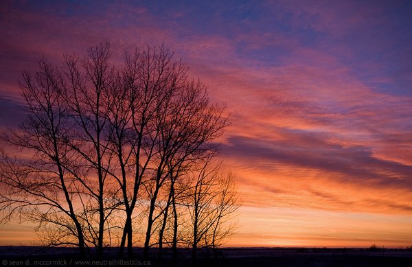 Sunrise, Jan 08, 2010
