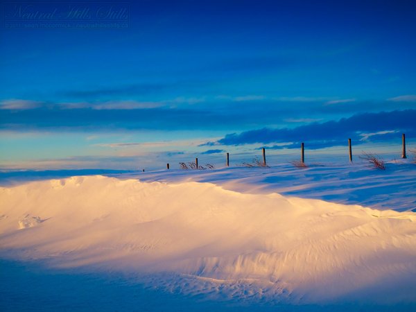Snow drift at sunrise, Jan 19, 2011