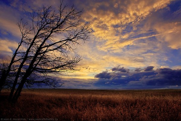 Something from nothing: Sunset, Aug 20, 2008