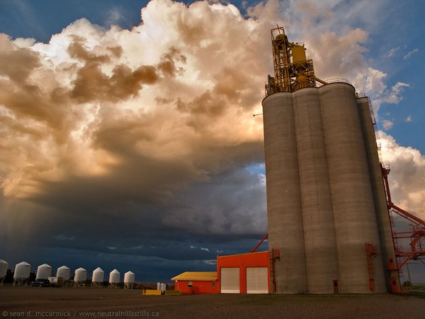 Oyen Pioneer Inland Grain Terminal: Jun 17, 2008 [3 of 3]
