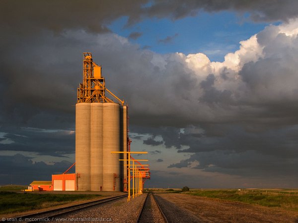 Oyen Pioneer Inland Grain Terminal: Jun 17, 2008 [2 of 3]