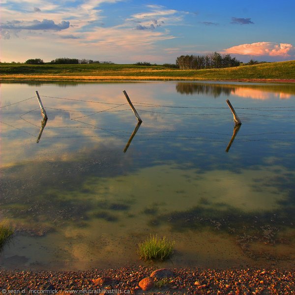 Different layers in the water