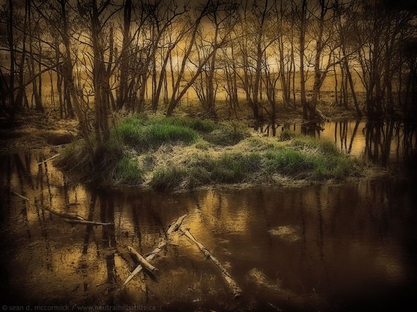 Prairie oasis [1 of 2]