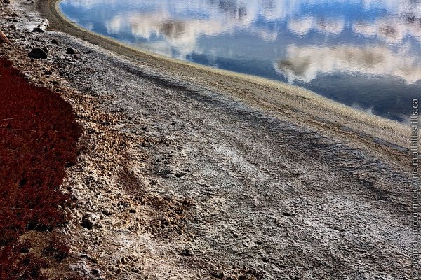 Edge of alkali slough [3 of 3]
