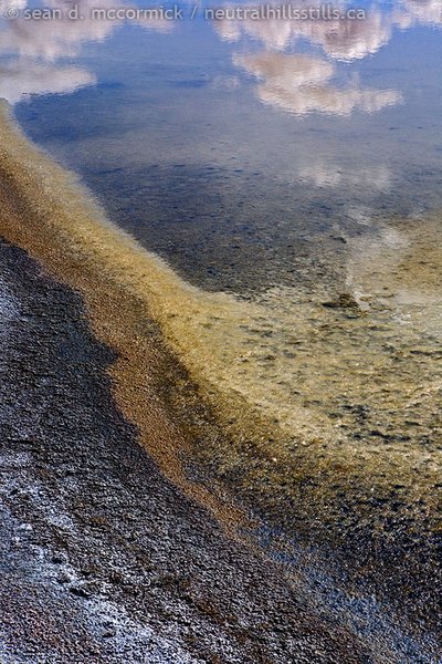 Edge of alkali slough [2 of 3]