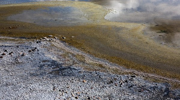 Edge of alkali slough [1 of 3]