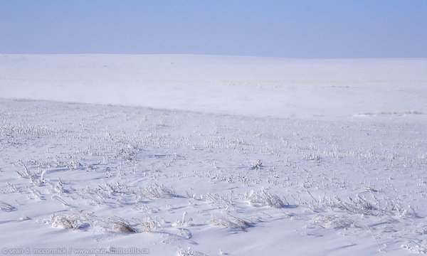 Sask-flat-chew-an