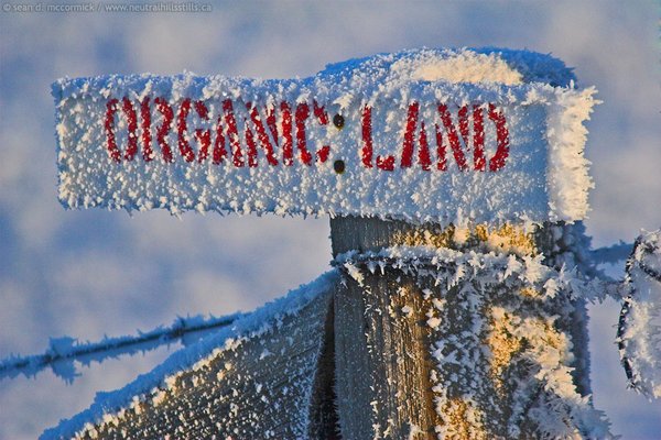 Organic land