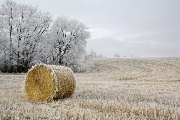 Kinda looks romantic, don't it?