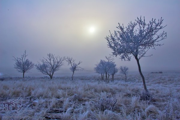 Osborne Homestead 2005: Frosty morning [3 of 3]