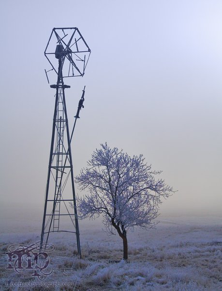Osborne Homestead 2005: Frosty morning [1 of 3]