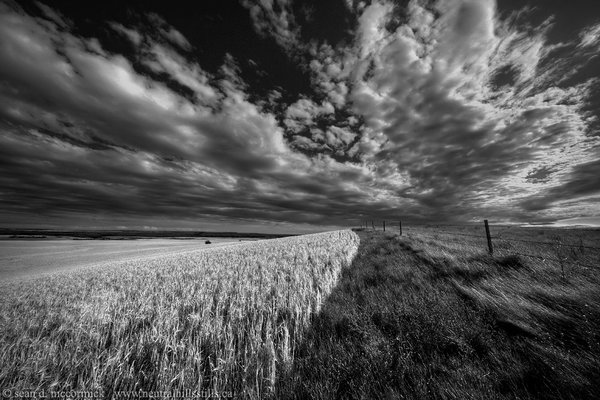 Roadside attraction