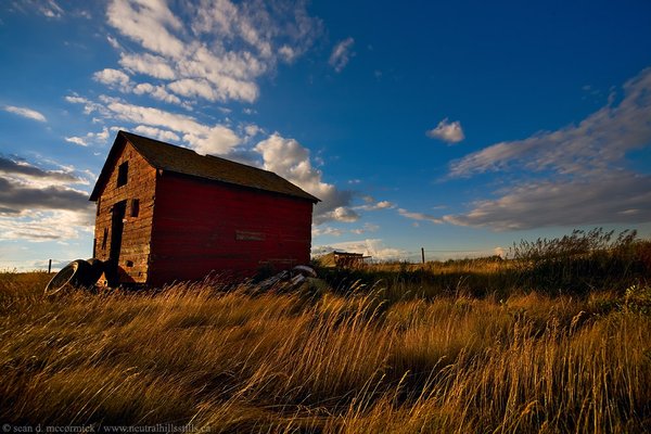 Little red shed