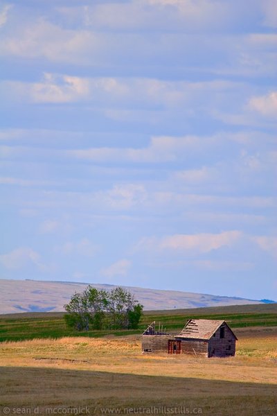 Shorty's barn