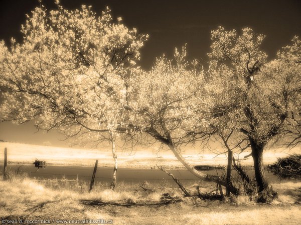 On the shore of Lake Kloberdanz