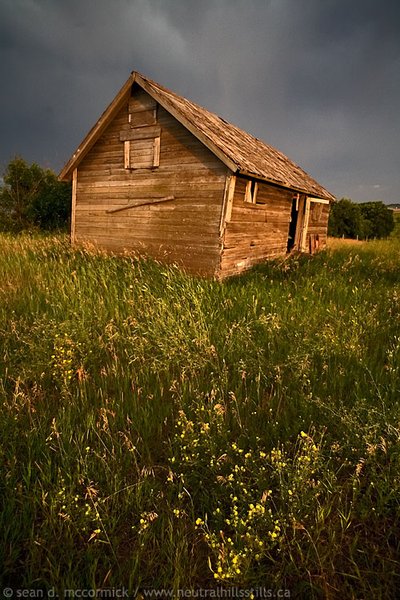 Delapidated shed at dusk