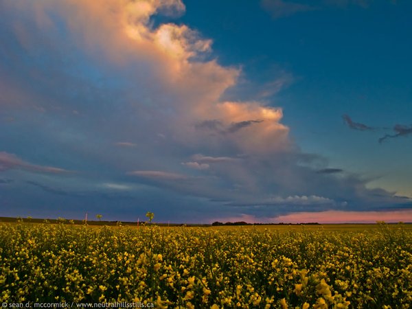 The last kiss of sunlight