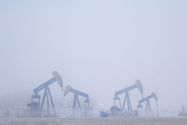 Pump jacks in fog east of Consort on Hwy 12