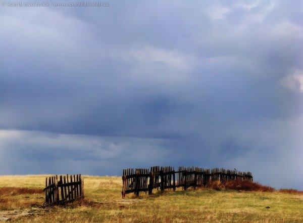 Sublime fence line