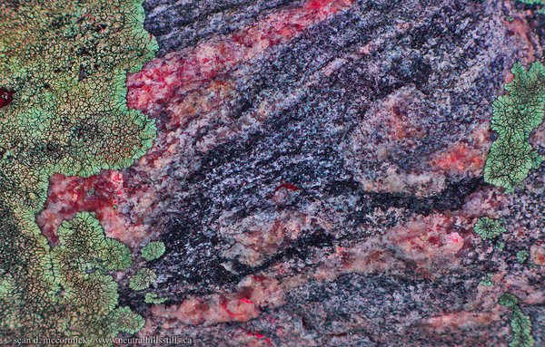 Real purdy rock