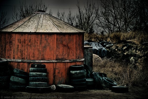 By the silage pit