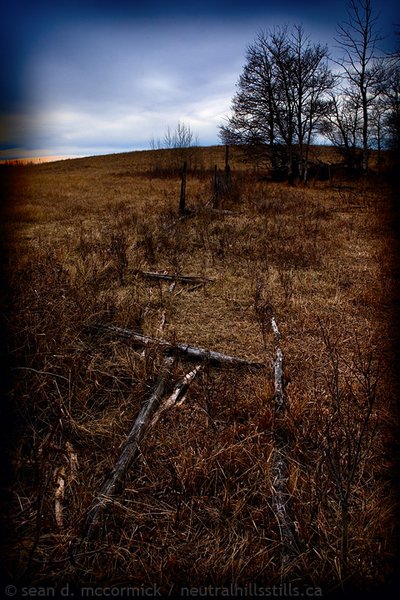 Fallen fence in the cow pasture