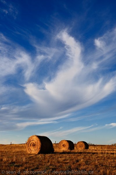 Three bales (Colour)