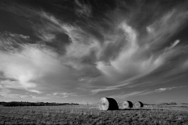 Three bales (B & W)
