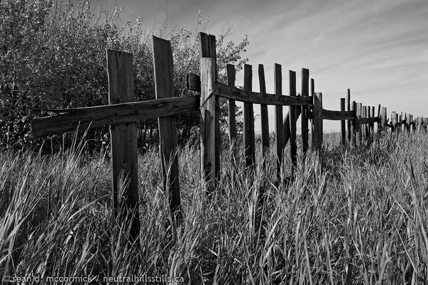 Feeling fenced in