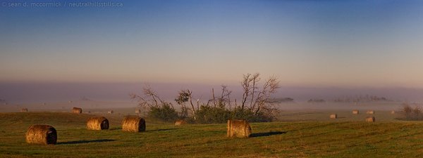 Morning mist in John's hay field