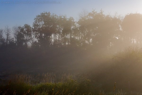 Morning mist burning off in the sun
