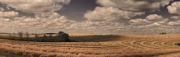 Swaths laid down