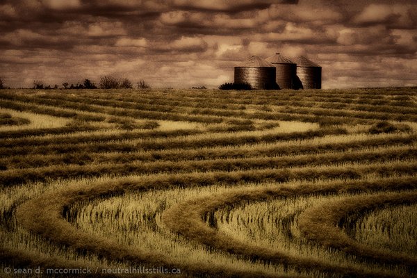 Three bins