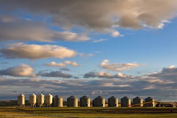 Bins bins bins!