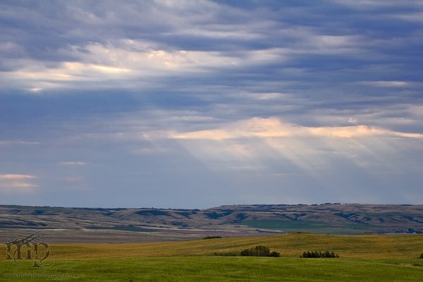 Sun rays over The Neutrals