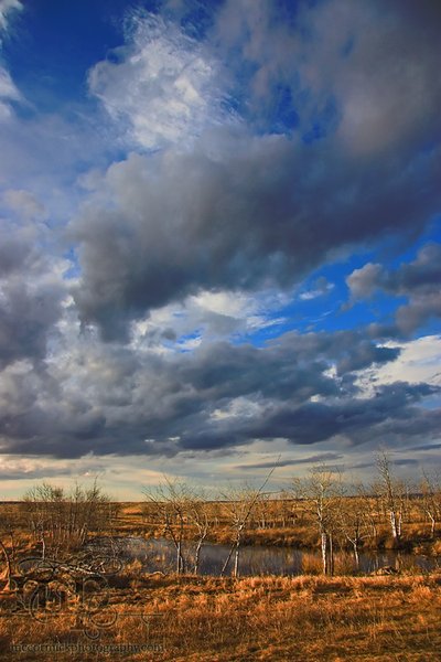 Blue skies over Double F Farms