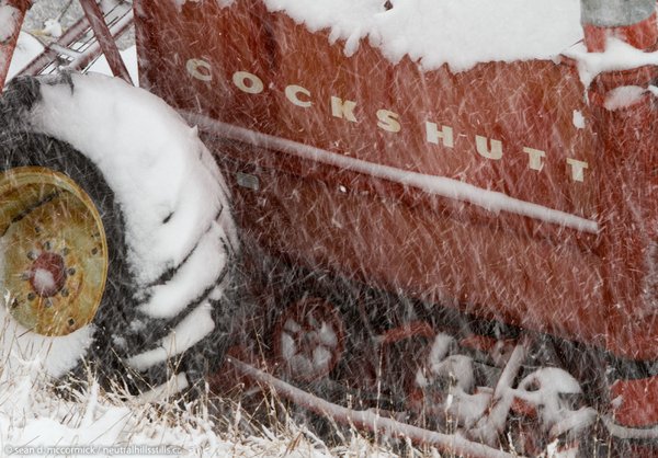Cockshutt in snow storm