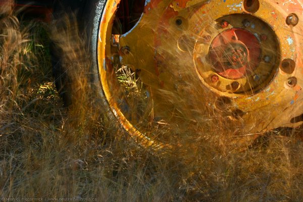 Wind swept grass by tractor tire