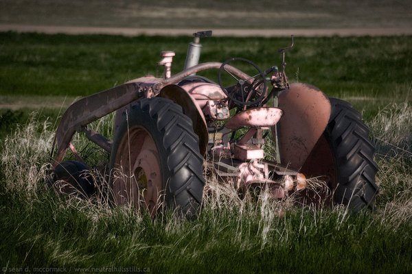 Put out to pasture