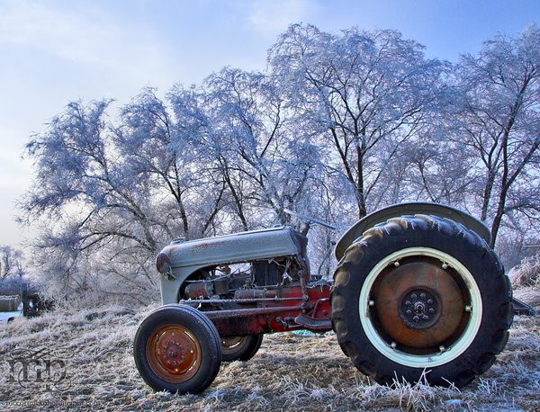 Have you frozen a Ford lately?
